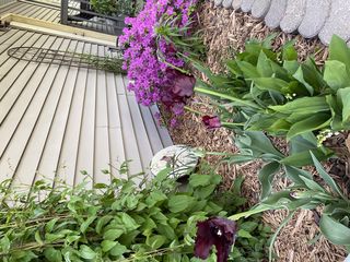 Photo Provided by Seller