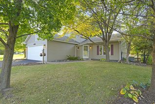 Large front yard, beautiful trees. 