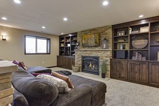 The lookout windows provide views of the back yard and allow in a lot of natural light