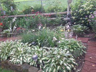 Photo Provided by Seller