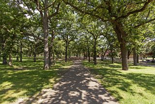 Green space - yes, this is city living!