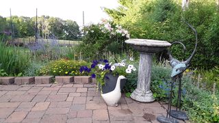 Photo Provided by Agent