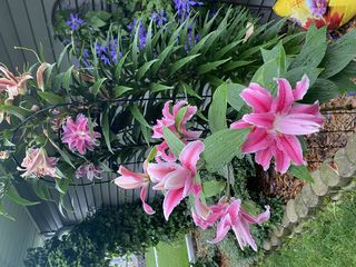 Photo Provided by Seller