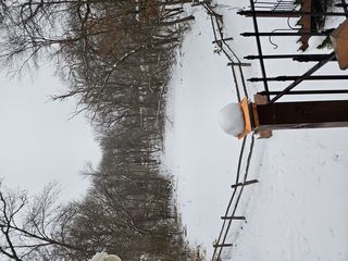 photo provided by seller