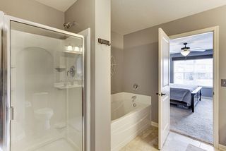 Full Shower and Bathtub