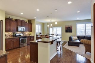 Gourmet kitchen, with tons of counter space and large eat-up bar.