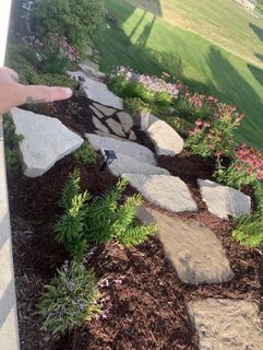 Photo Provided by Seller