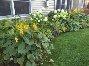 Photo provided by seller.