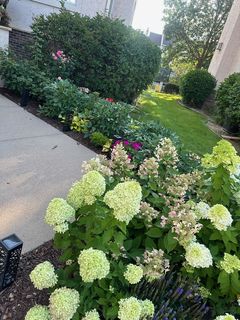 Photo Provided by Agent