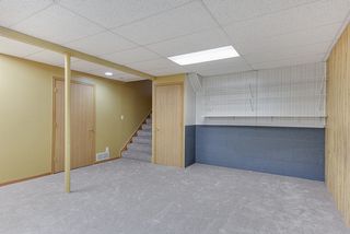 Lower level 4th bedroom.