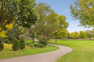 Meadow Park