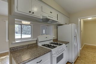 Window passthrough for natural light and open feel