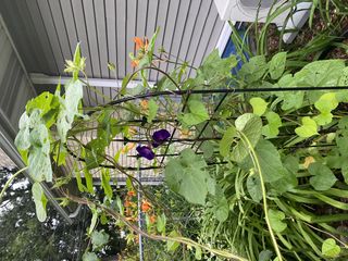 Photo Provided by Seller