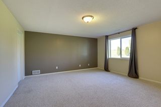 Lower level 16 x 16 bedroom #5