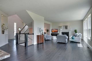 Rich hardwoods contract with the elegant neutral decor - 3942 Campello Curve
