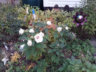 Photo Provided by Agent