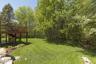 Beautiful backyard area, Fully irrigated and landscaped.