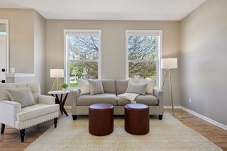 Trees right out your window, create a feeling of more privacy.