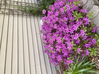 Photo Provided by Seller