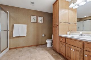 Lower level bathroom