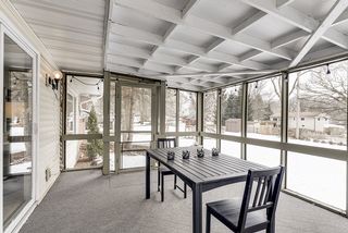 ... and when the snow melts...