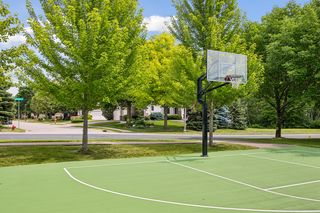 Neighborhood Sport Court