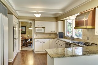 Custom copper & brass vent-a-hood,professional grade appliances