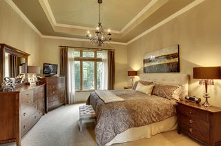 Vaulted ceilings, crown molding and wooded views