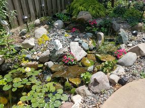 Photo provided by seller.