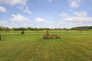Large back yard