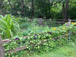 Photo Provided by Agent