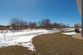 Small creek in back yard- perfect for ice skating 