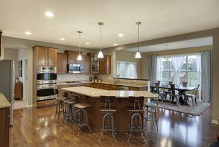 stainless steel appliances, pendant lighting, and wide open to the "morning room" 