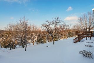 The variety of surrounding trees make for great views at sunset