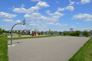 Basketball, anyone?