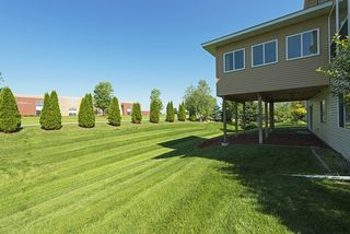 Back yard view