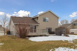 Large flat back yard