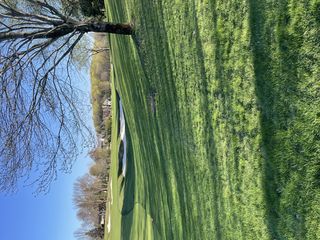 Photo Provided by Seller