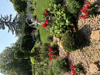 photo provided by seller