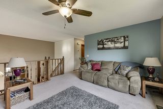 Accent wall in the living gives a nice contrast of color