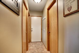 Lower Level Hallway - Newer Flooring, Door to Garage