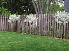 Photo Provided by Seller