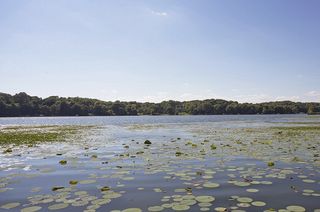 Lotus Lake is perfect for water skiing due to its long shape!