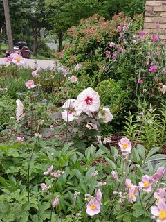 Photo Provided by Agent