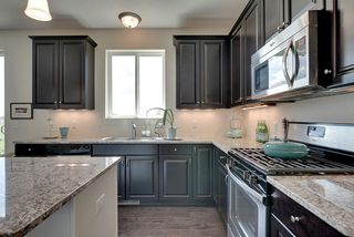 Granite counters and rich cabinets and window overlooking wetlands - 3942 Campello Curve