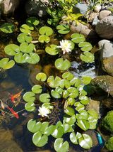 Photo provided by seller.