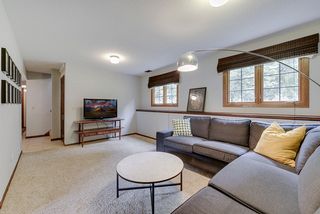 Lower level family room