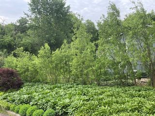 Photography provided by agent.