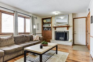 Wood Burning Fireplace, builtins