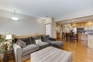 Light Filled Living Room.